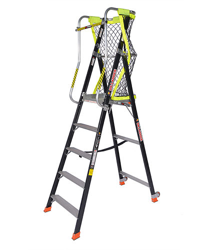 Platform Ladder
